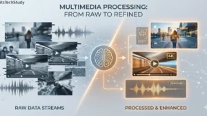 Multimedia Processing: A Complete Guide to How Modern Digital Content Comes to Life